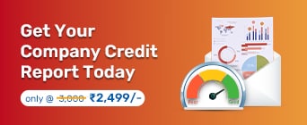 Company Credit Report